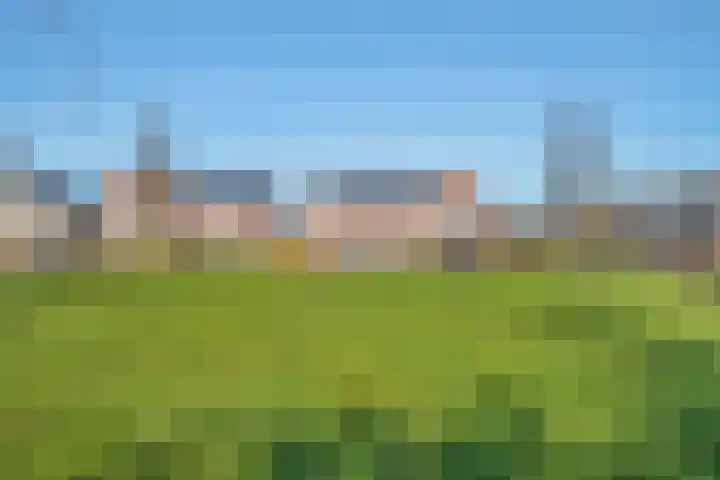 Hagelstege 3 Den Ham thumbnail 6