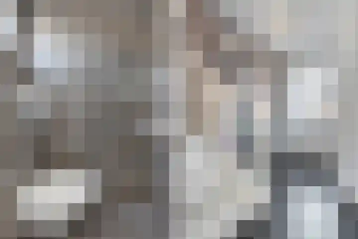 Hagelstege 3 Den Ham thumbnail 8