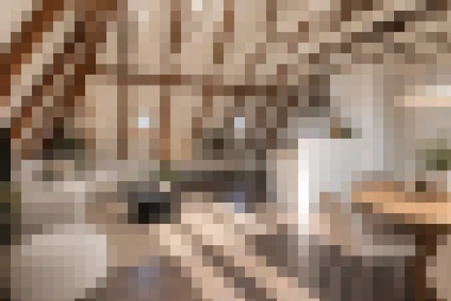 Hagelstraat 6 C Zwolle thumbnail 11