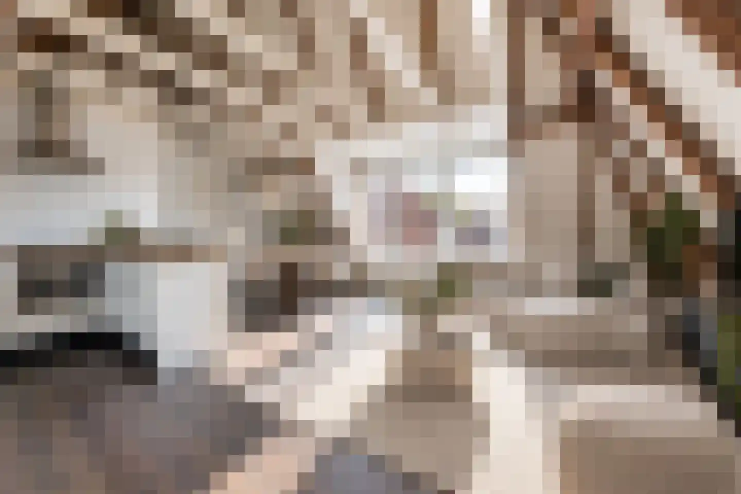 Hagelstraat 6 C Zwolle thumbnail 9