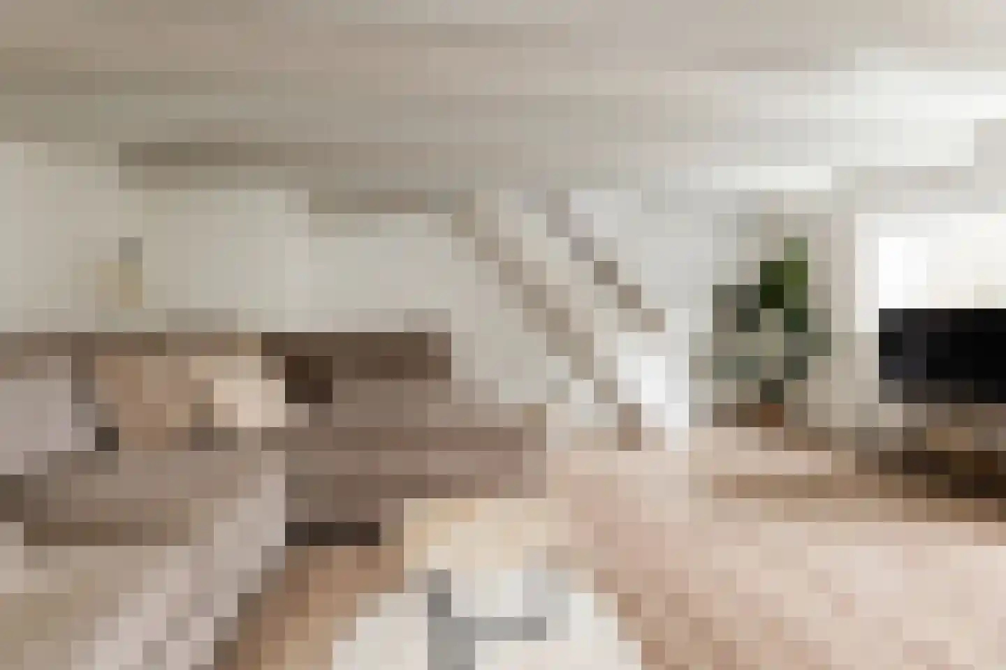 Hagelstraat 6 Zwolle thumbnail 13