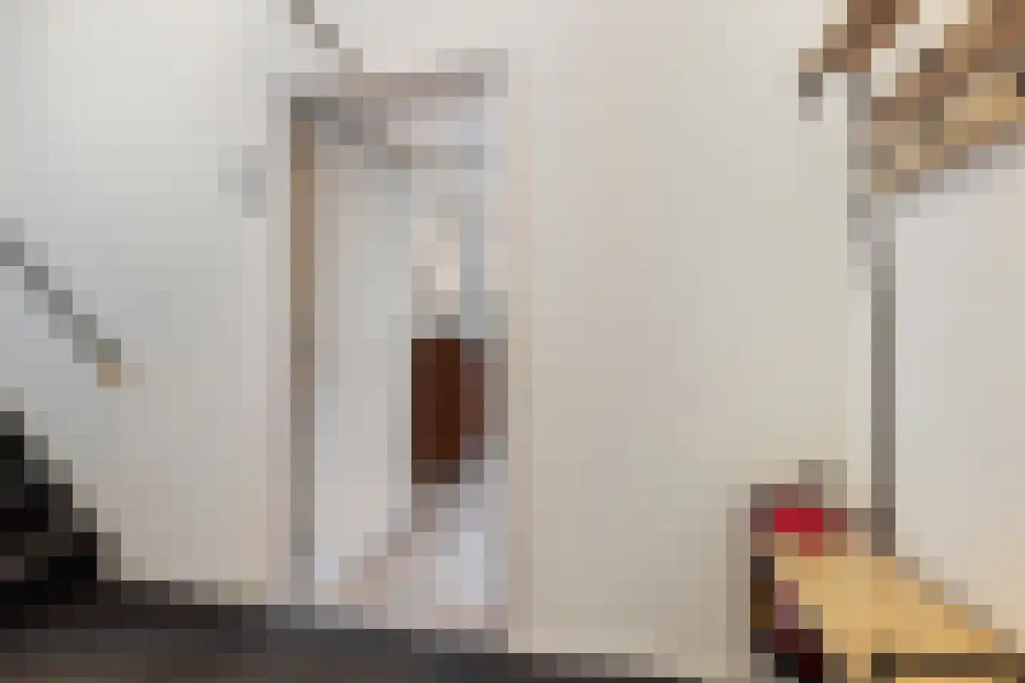 Hagelstraat 6 Zwolle thumbnail 24
