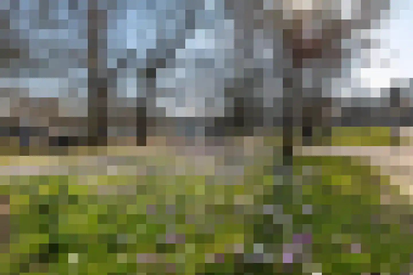 Hagelstraat 6 Zwolle thumbnail 31