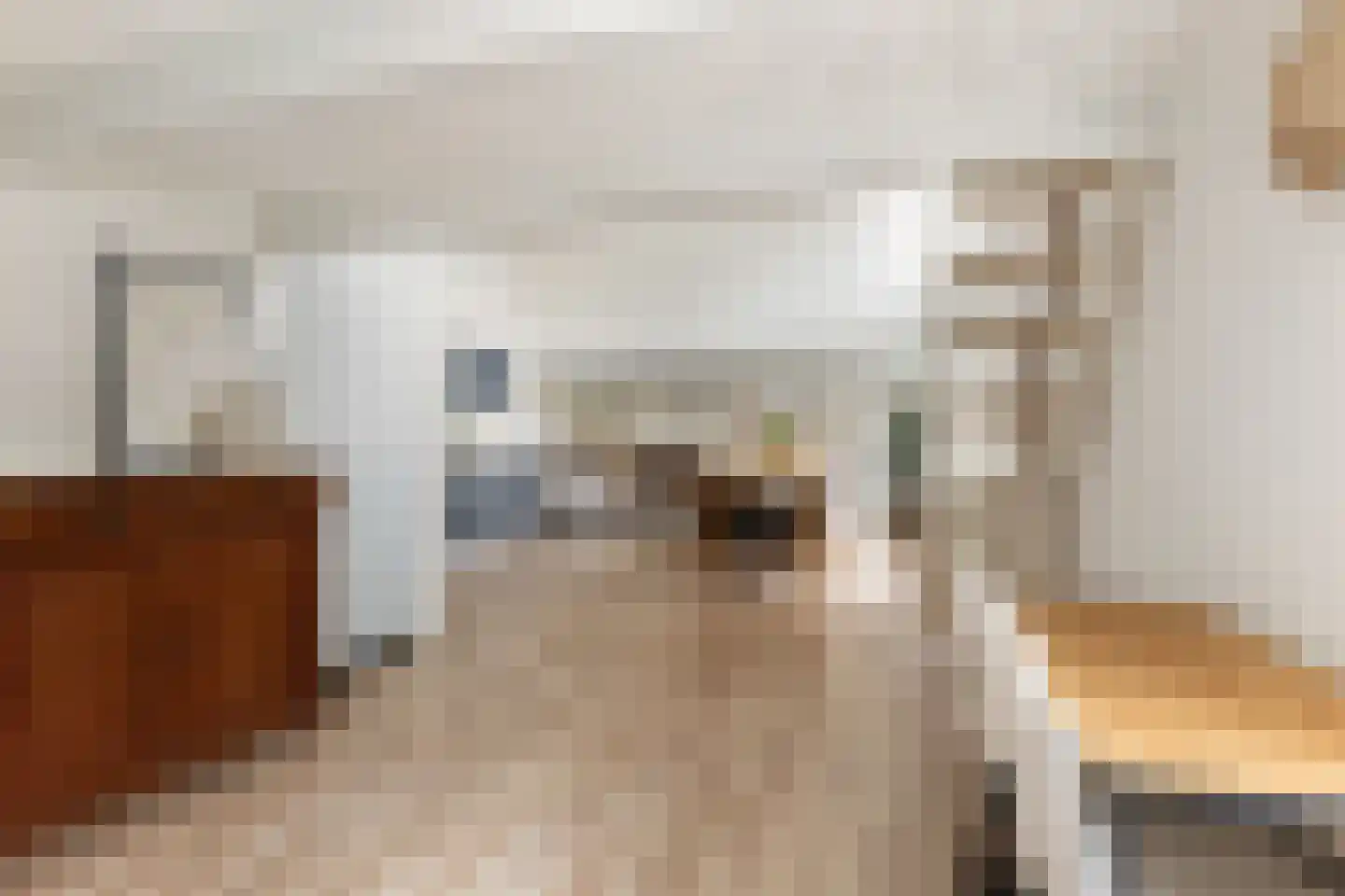 Hagelstraat 6 Zwolle thumbnail 6