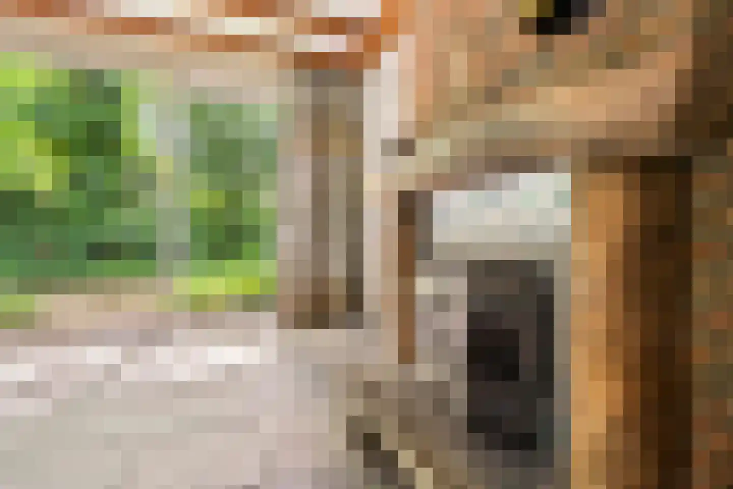Hagelweg 2 Venray thumbnail 10
