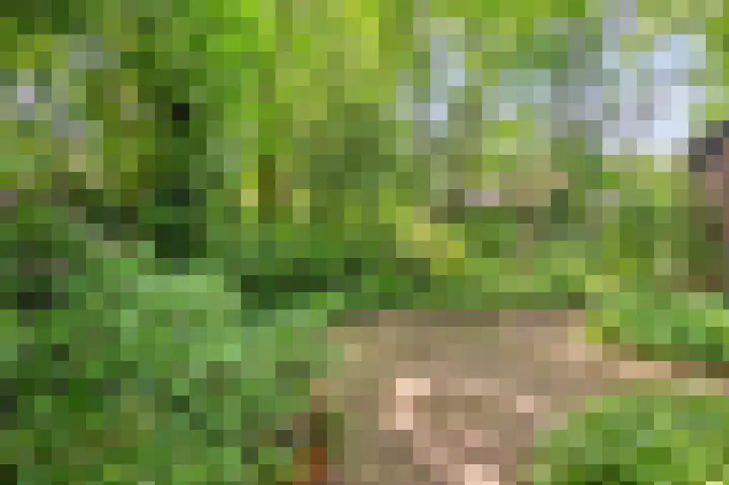 Hagelweg 2 Venray thumbnail 31
