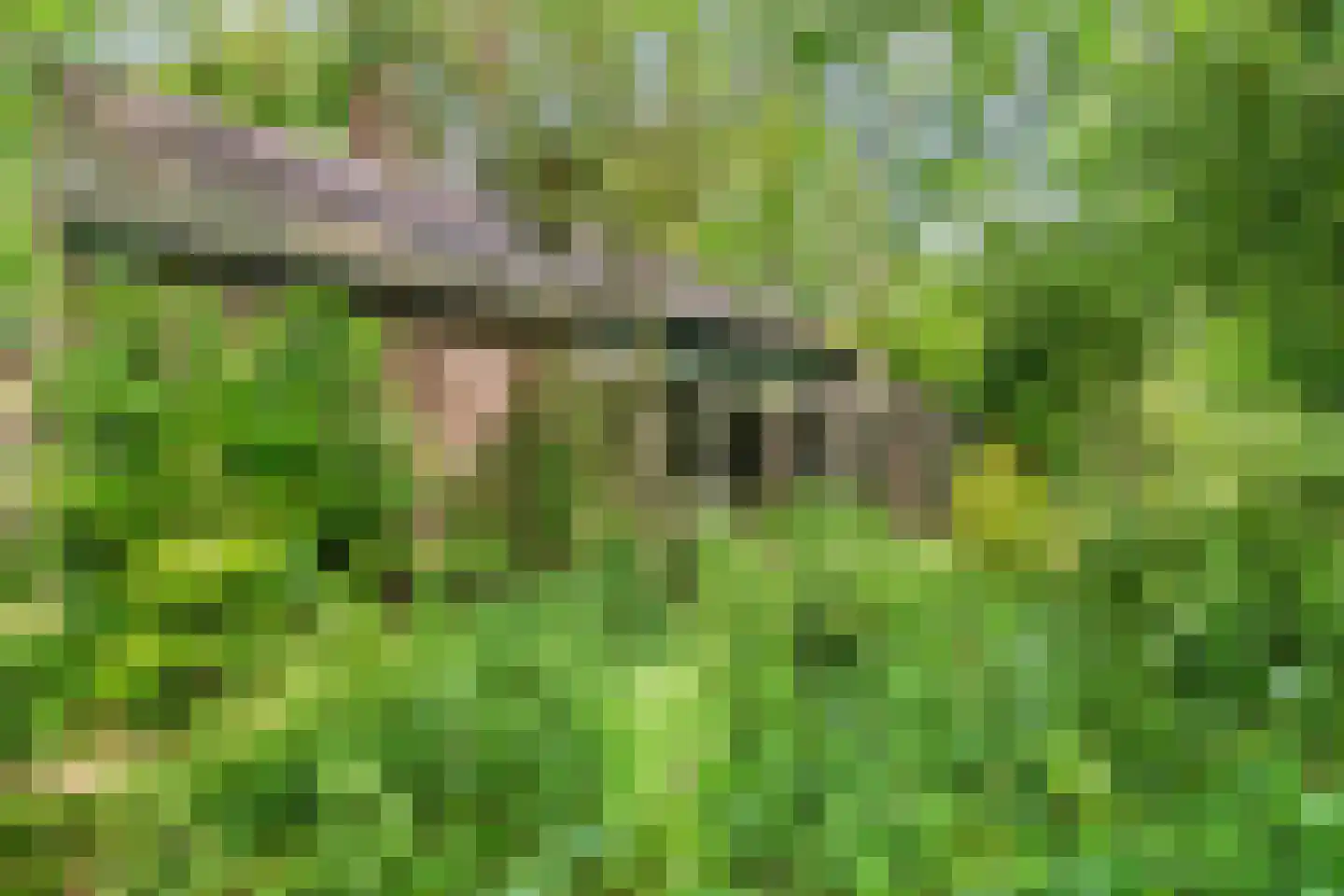 Hagelweg 2 Venray thumbnail 32