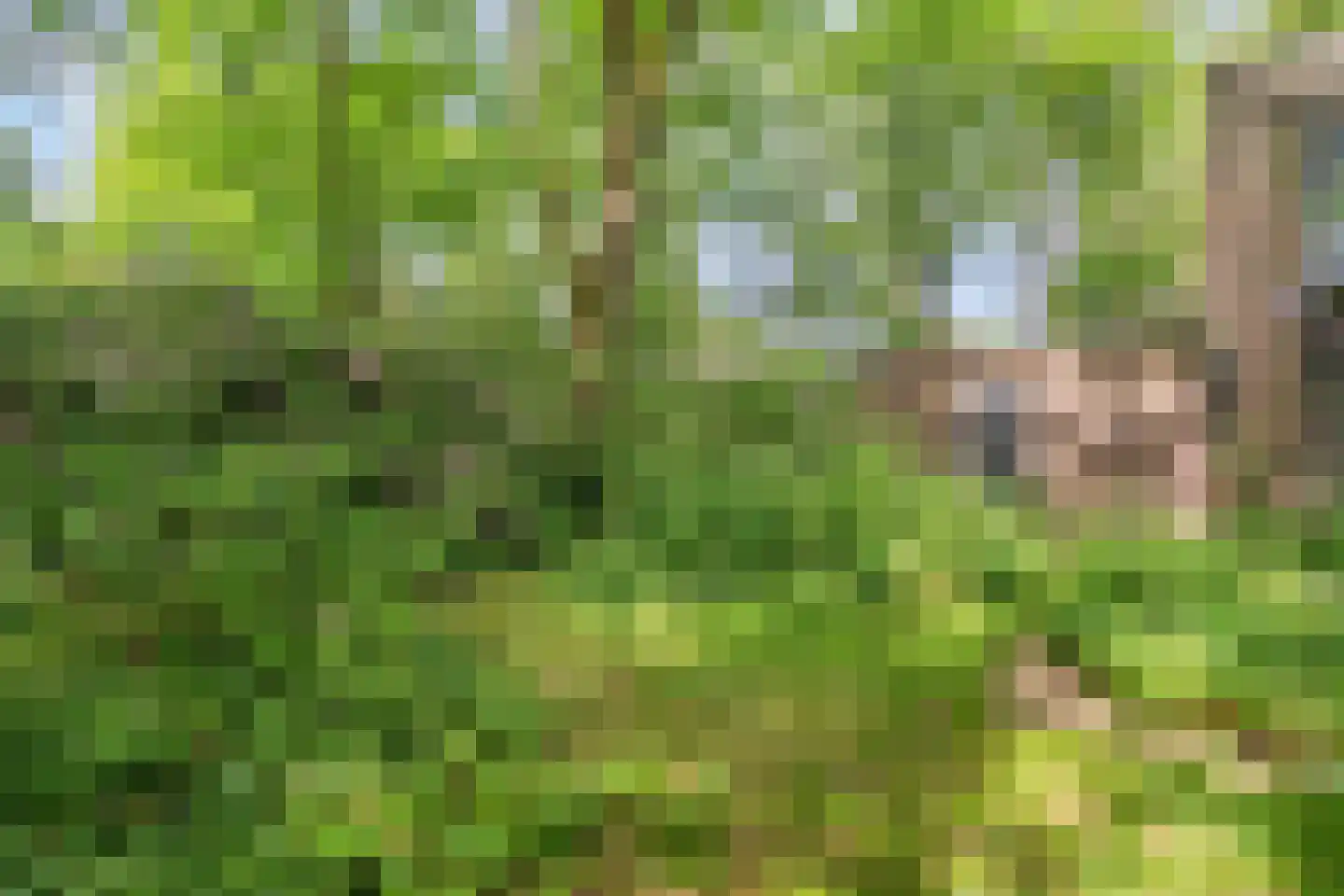 Hagelweg 2 Venray thumbnail 33