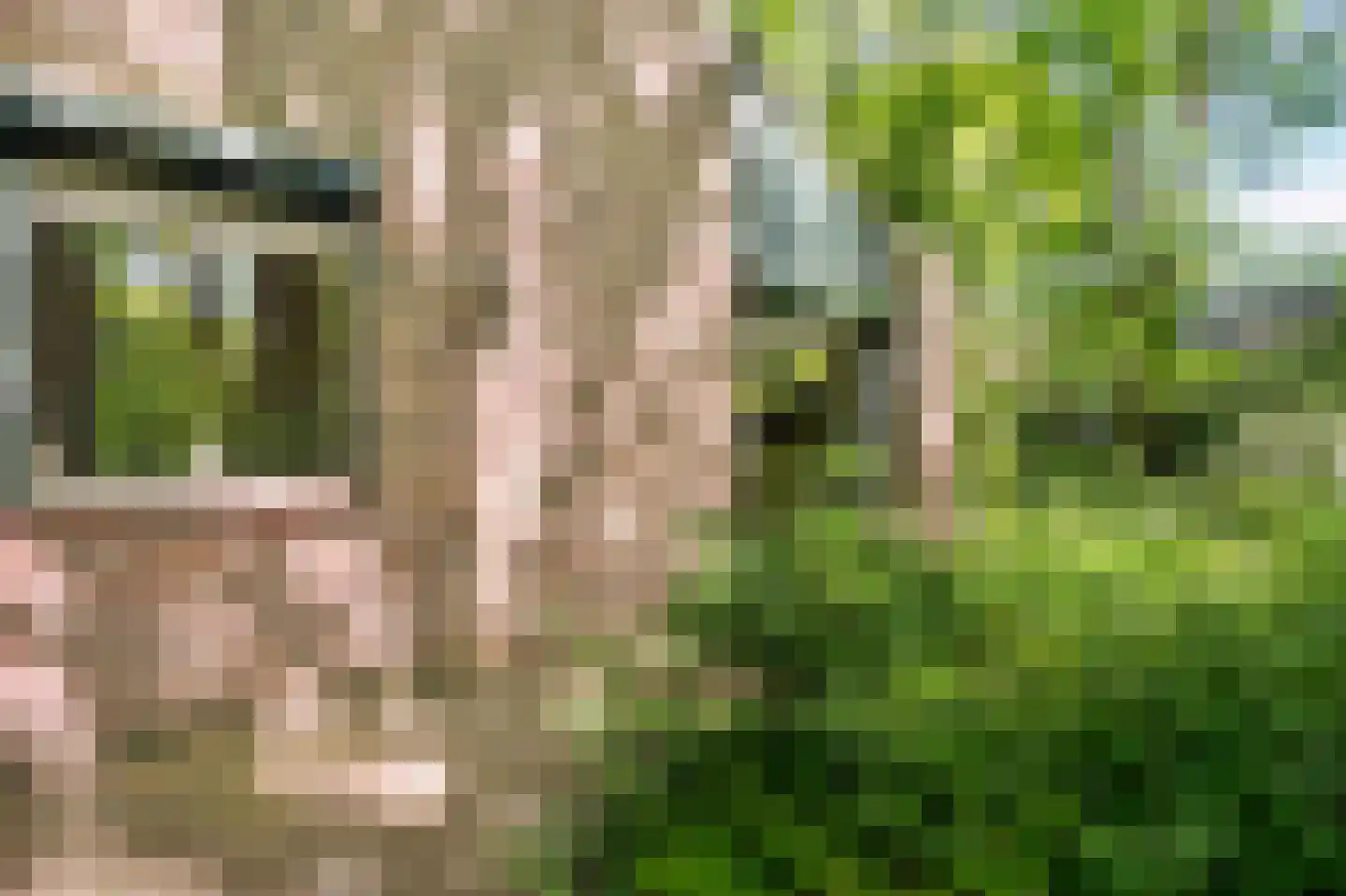 Hagelweg 2 Venray thumbnail 34