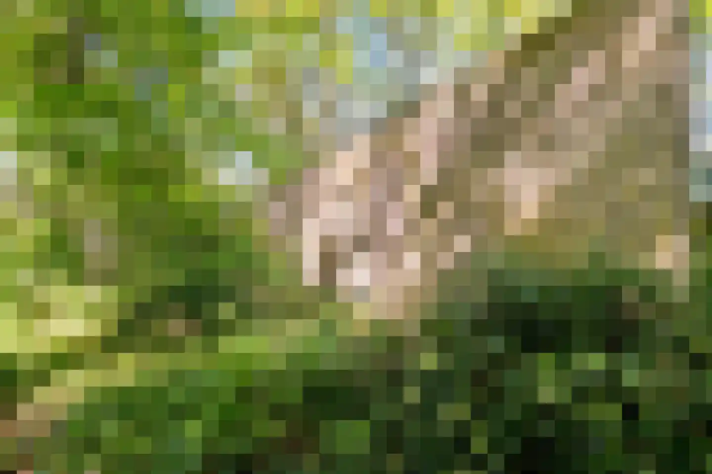 Hagelweg 2 Venray thumbnail 35