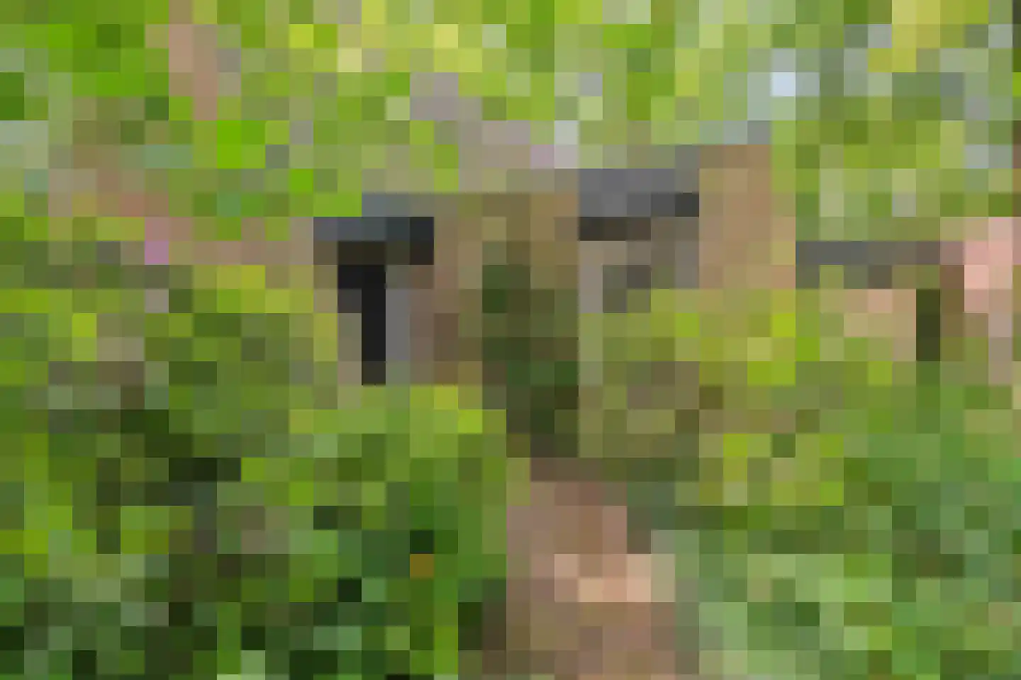 Hagelweg 2 Venray thumbnail 36
