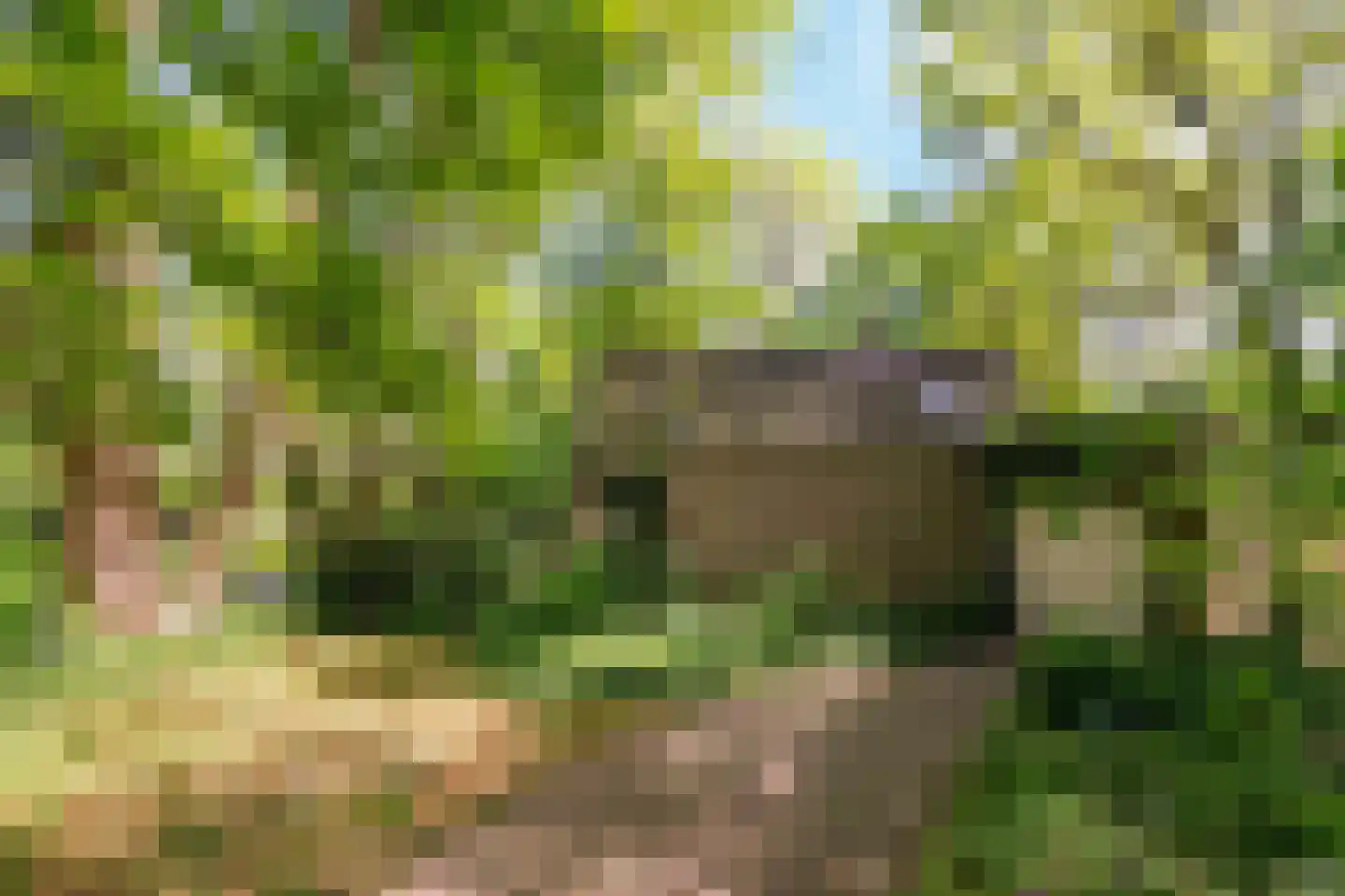 Hagelweg 2 Venray thumbnail 37