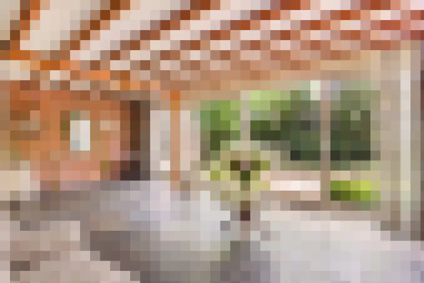 Hagelweg 2 Venray thumbnail 6