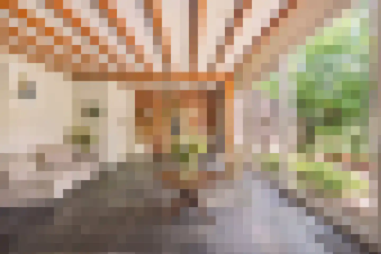 Hagelweg 2 Venray thumbnail 8