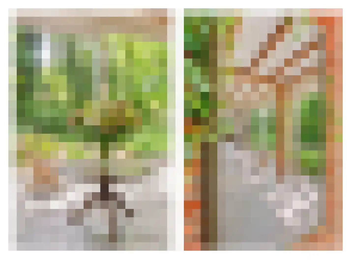 Hagelweg 2 Venray thumbnail 9