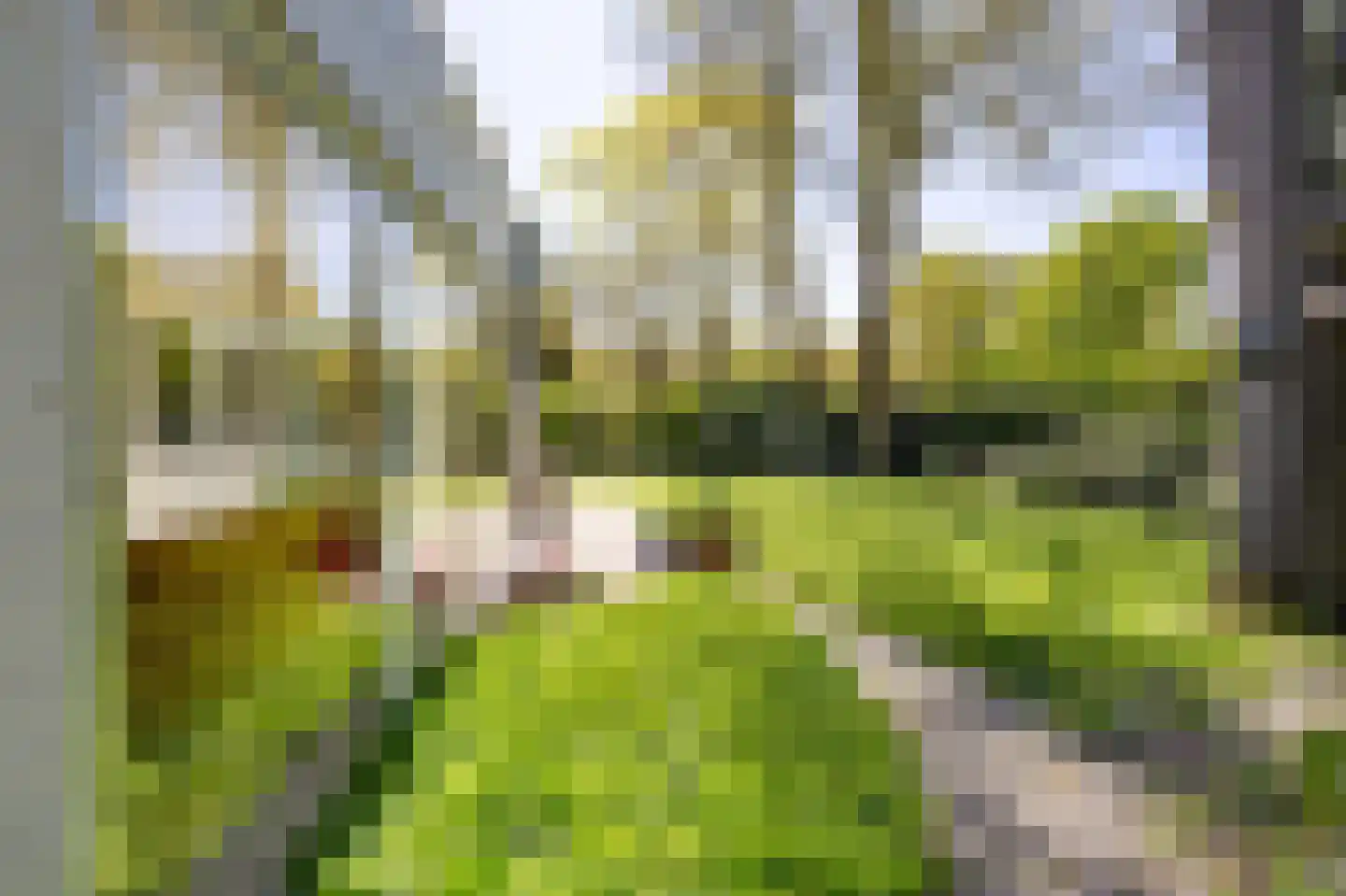 Hagelweg 34 Venray thumbnail 12