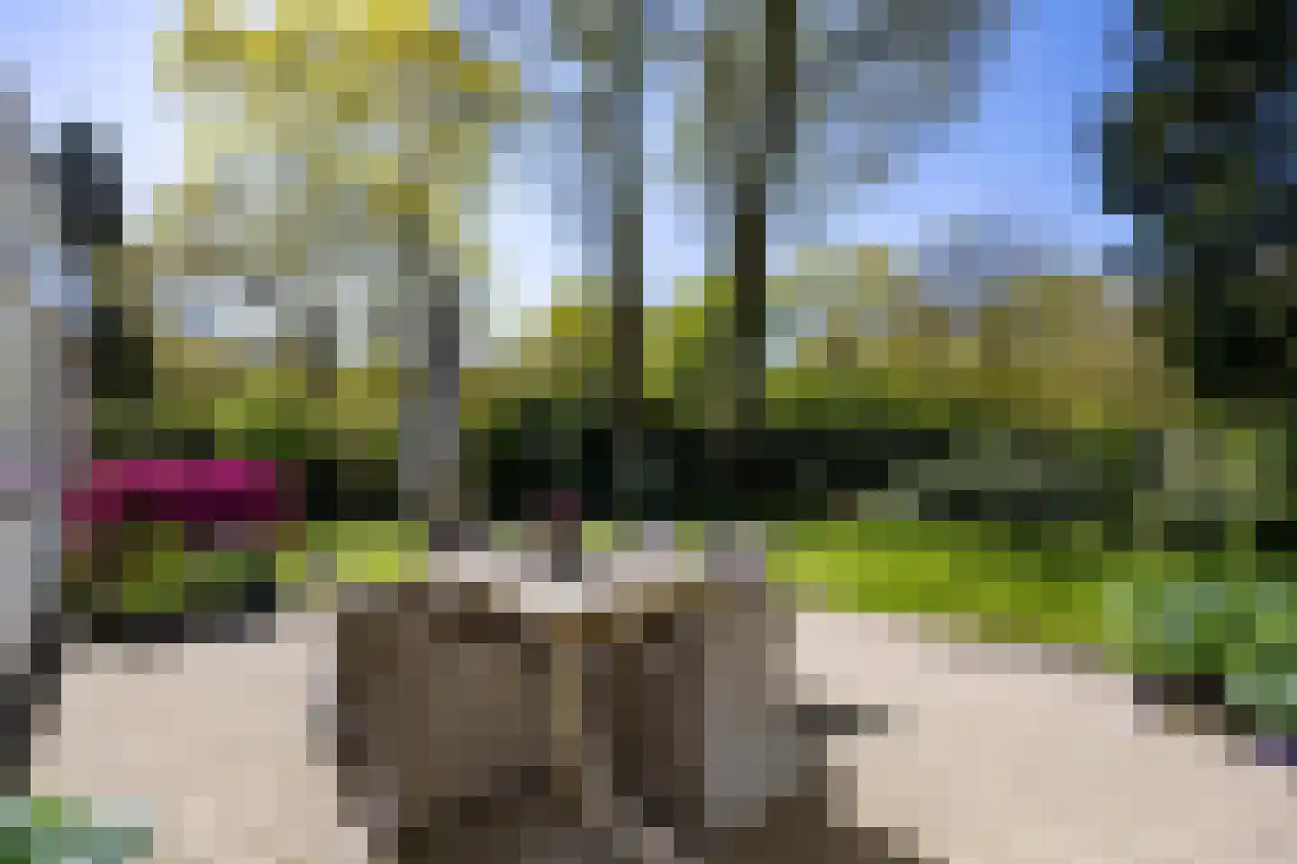 Hagelweg 34 Venray thumbnail 14