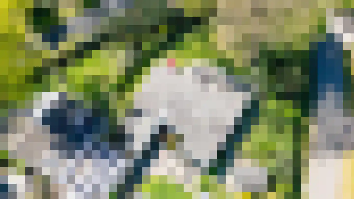 Hagelweg 34 Venray thumbnail 6
