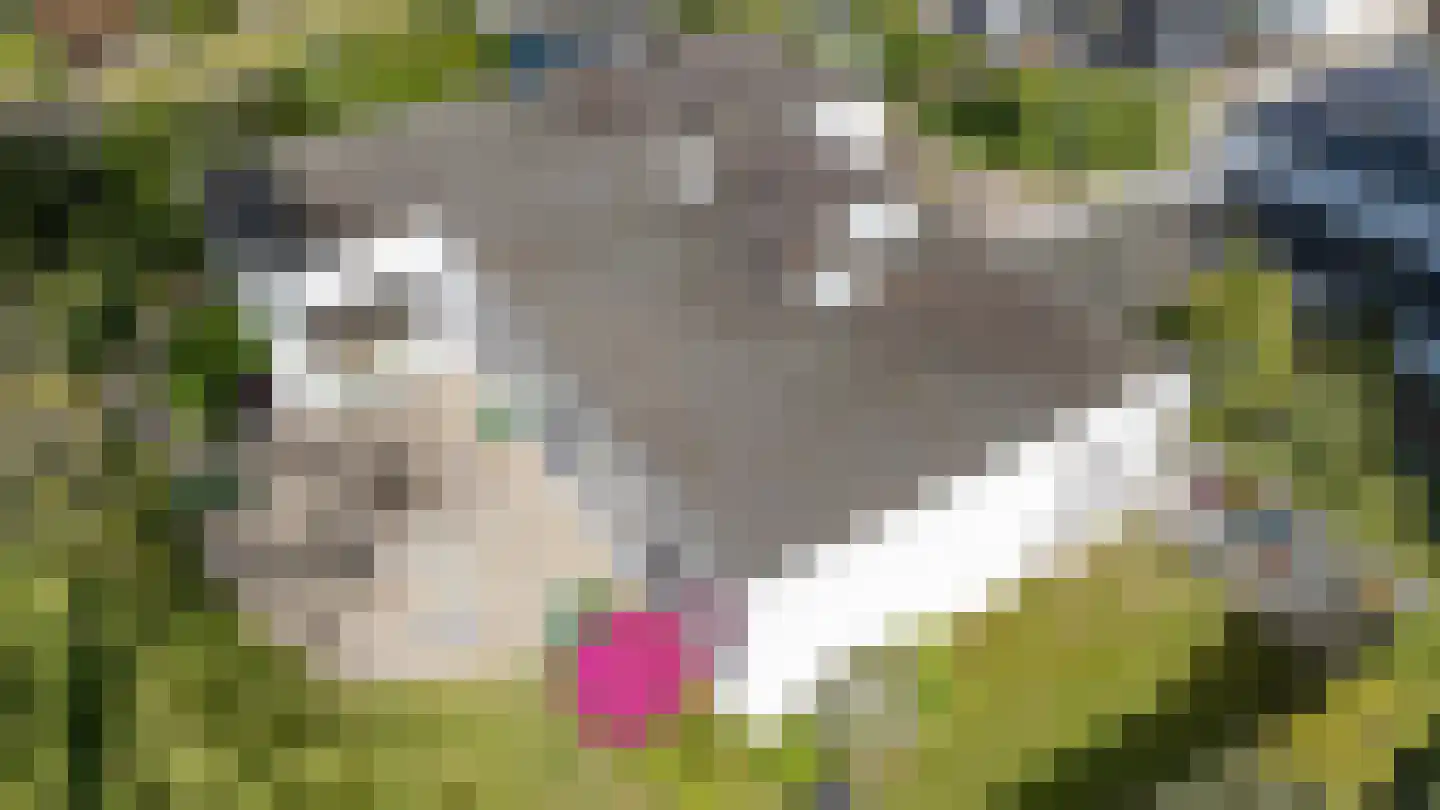 Hagelweg 34 Venray thumbnail 7