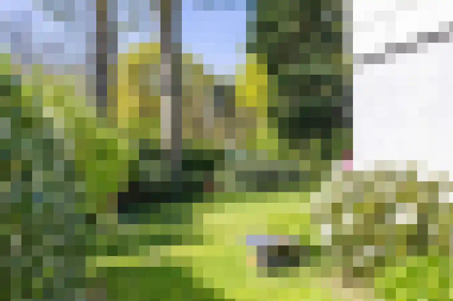 Hagelweg 34 Venray thumbnail 9