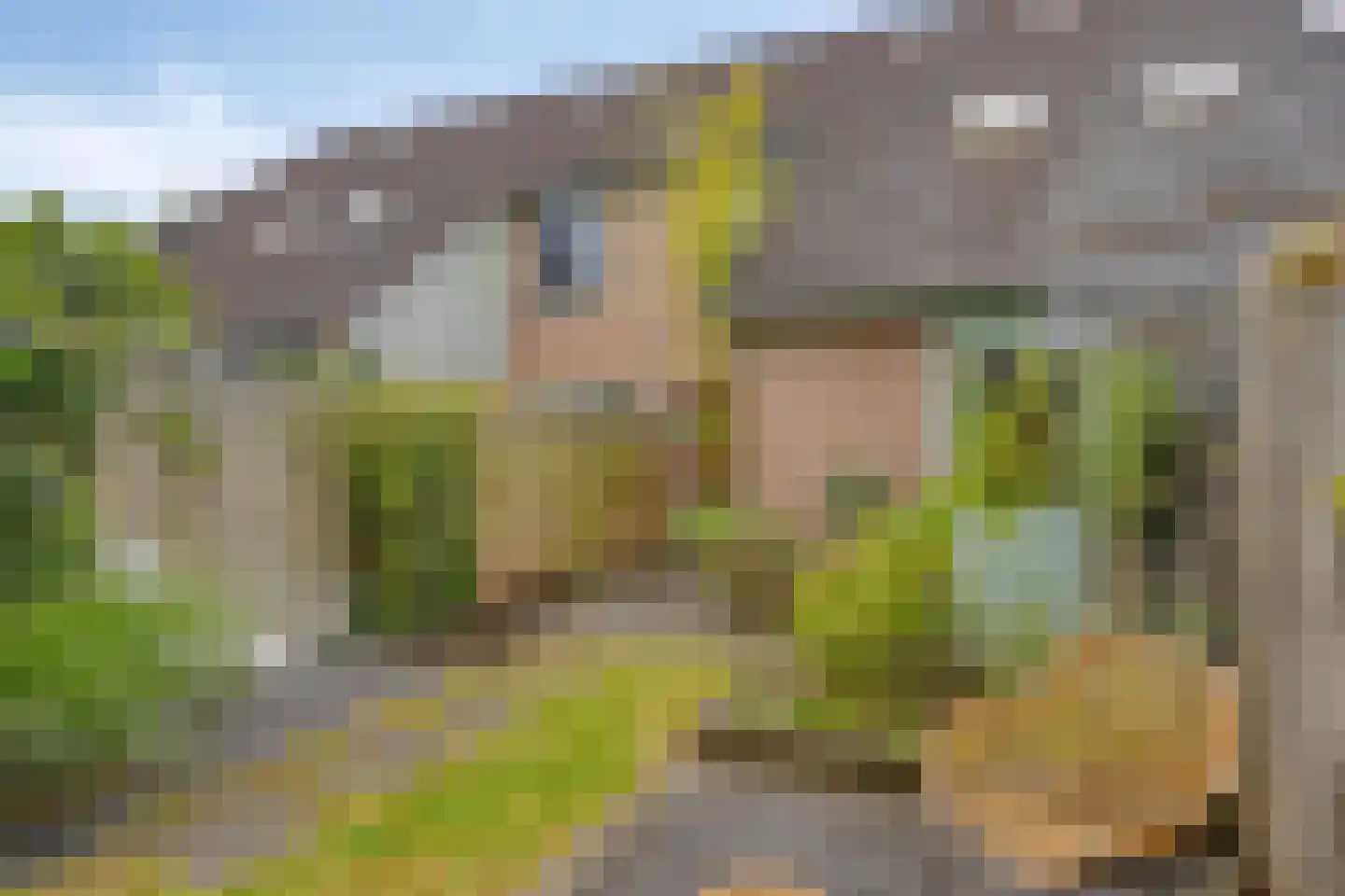 Hagemanswei 27 Arnhem thumbnail 10