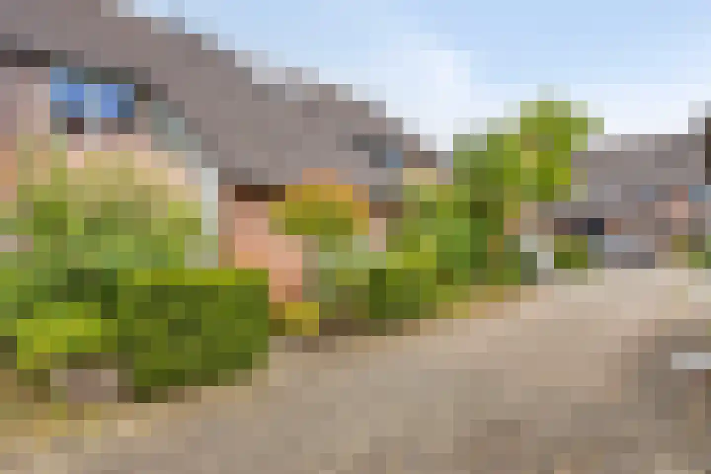 Hagemanswei 27 Arnhem thumbnail 30