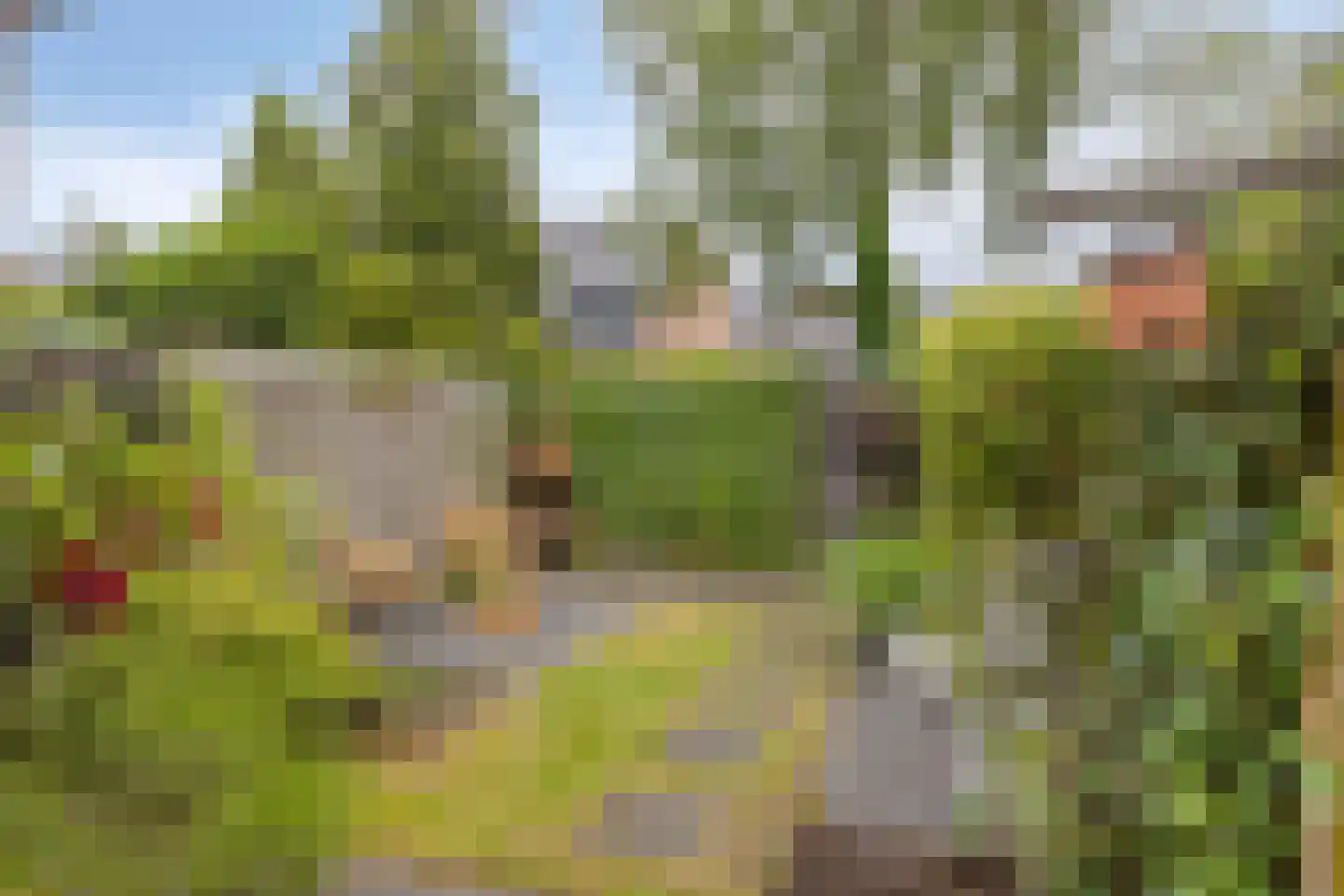Hagemanswei 27 Arnhem thumbnail 7