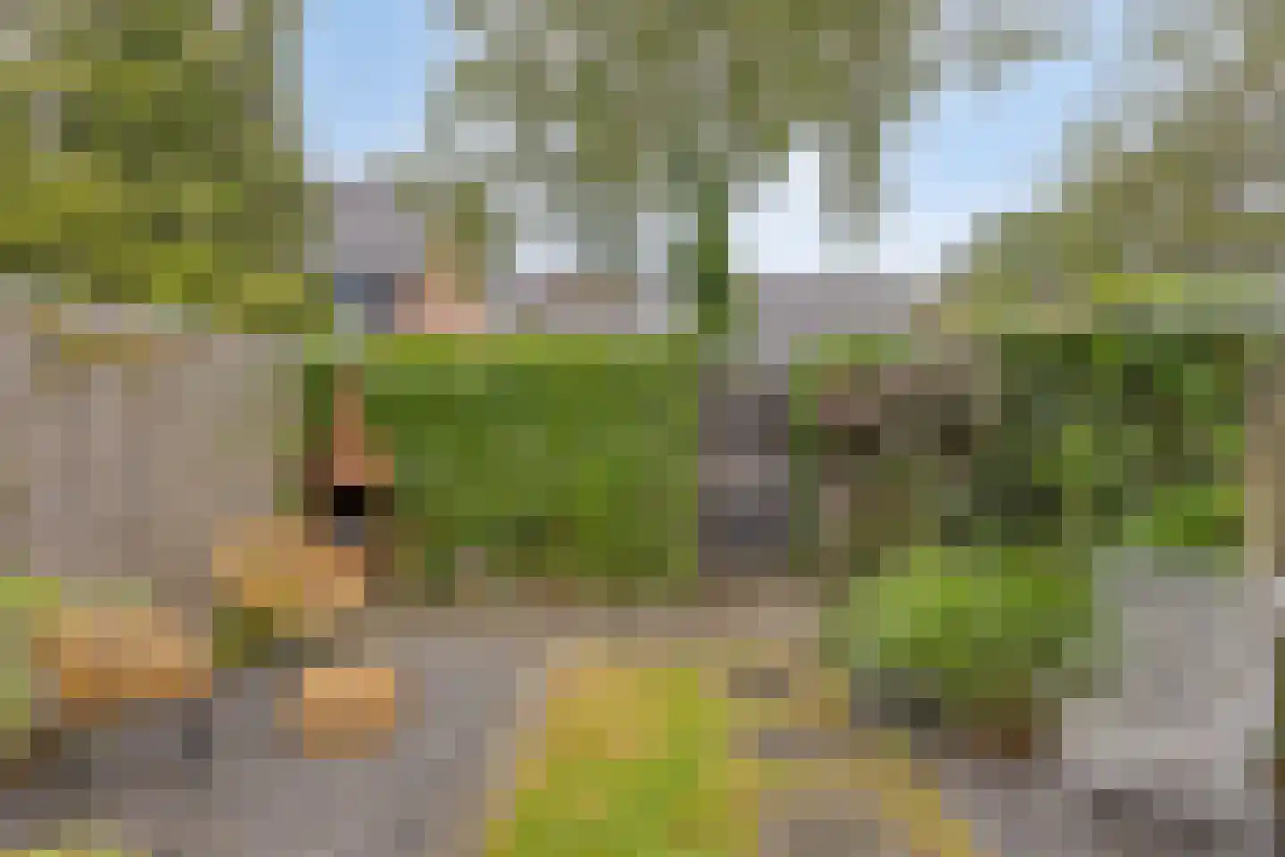 Hagemanswei 27 Arnhem thumbnail 8