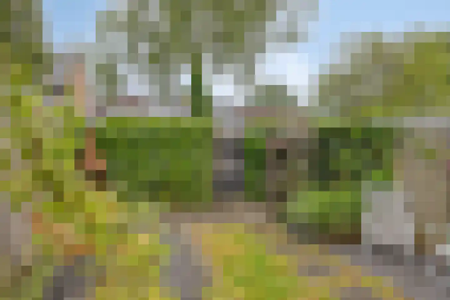Hagemanswei 27 Arnhem thumbnail 9