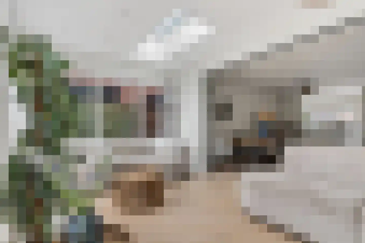Hagemanswei 85 Arnhem thumbnail 12