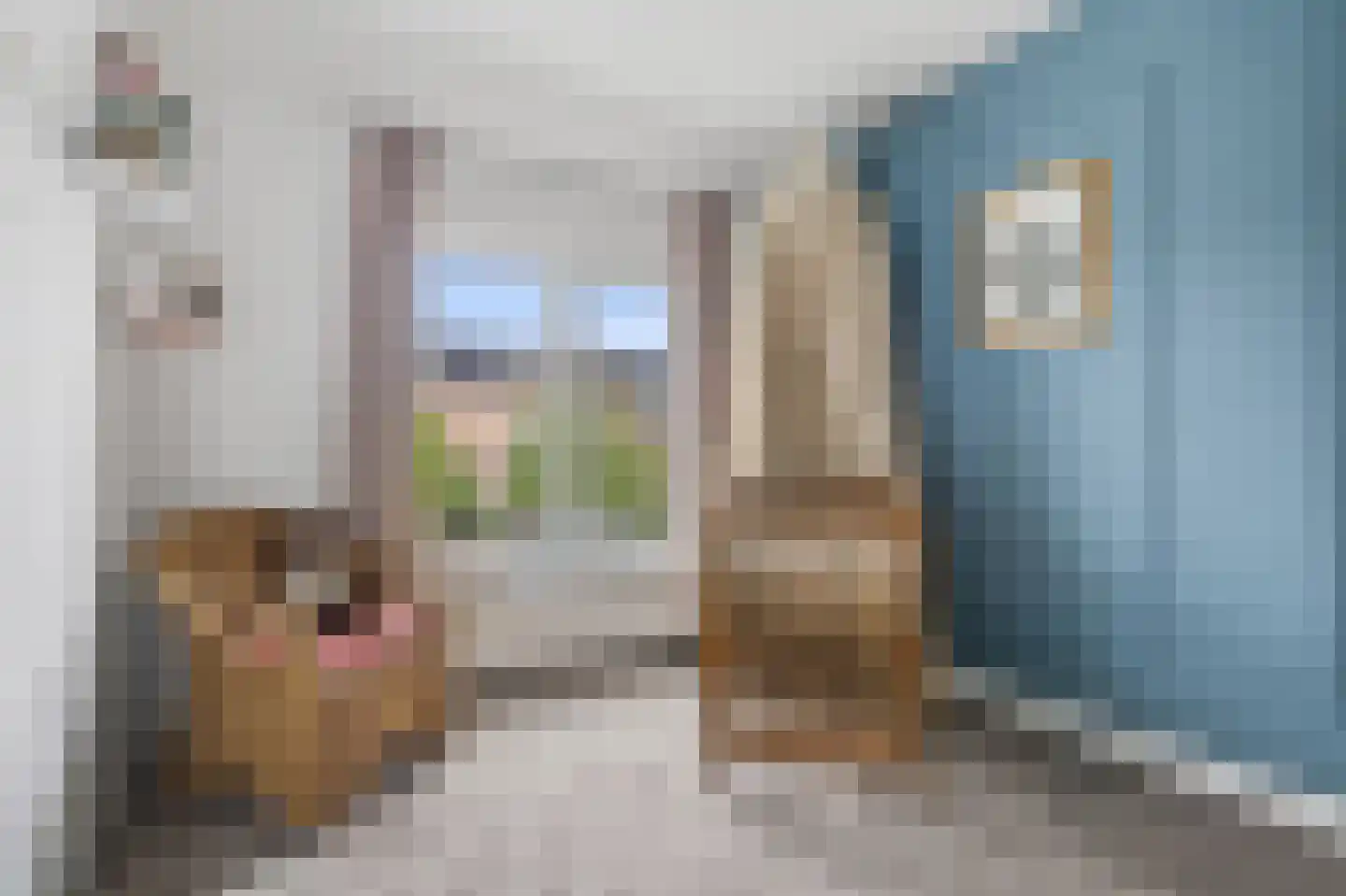 Hagemanswei 85 Arnhem thumbnail 22