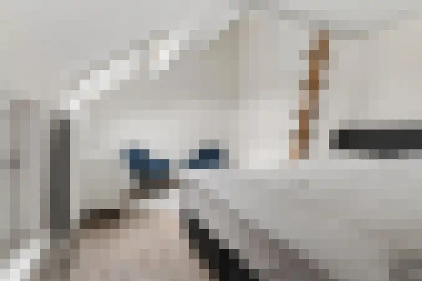 Hagemanswei 85 Arnhem thumbnail 30