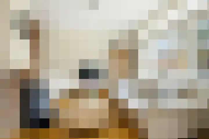 Hagen 5 Eibergen thumbnail 13