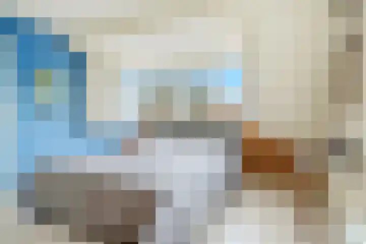 Hagen 5 Eibergen thumbnail 19