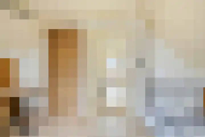 Hagen 5 Eibergen thumbnail 24