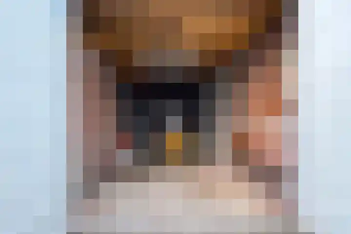 Hagen 5 Eibergen thumbnail 29