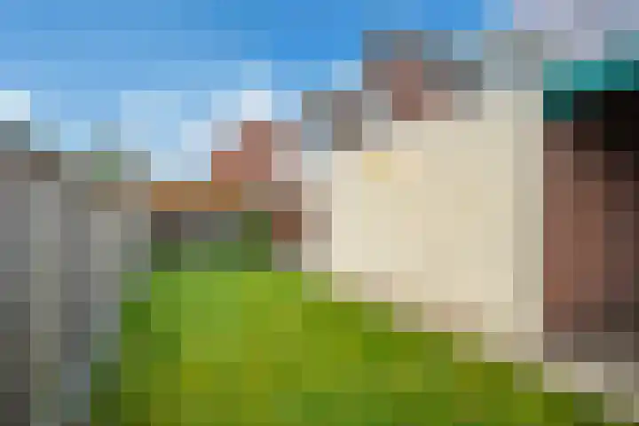 Hagen 5 Eibergen thumbnail 34