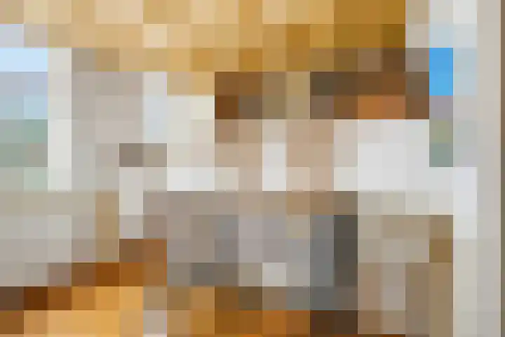 Hagen 5 Eibergen thumbnail 8