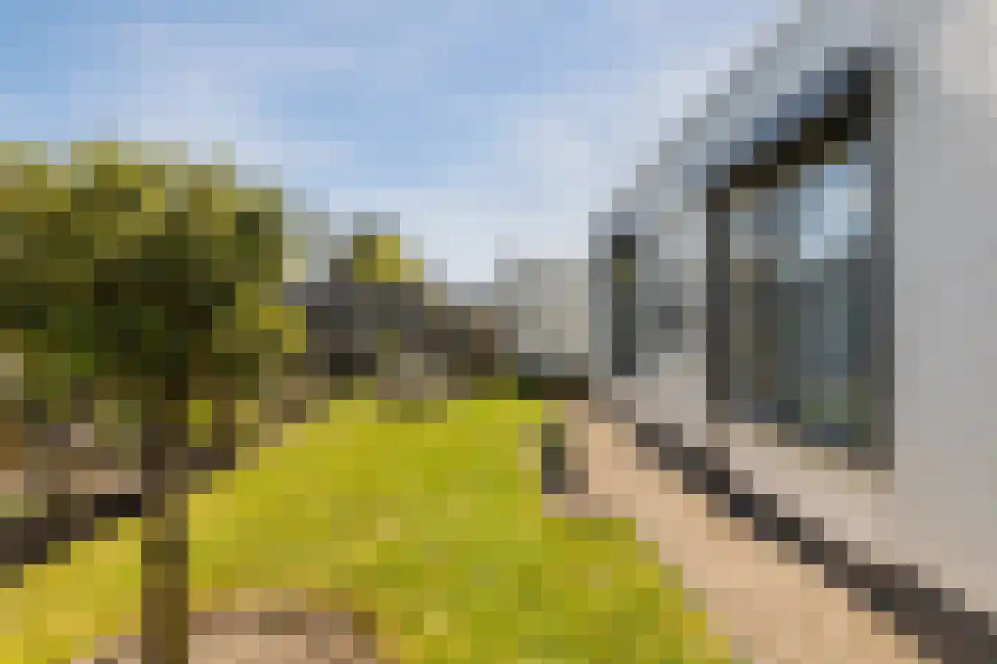 Hagenaarpark 19 Maasbracht thumbnail 49