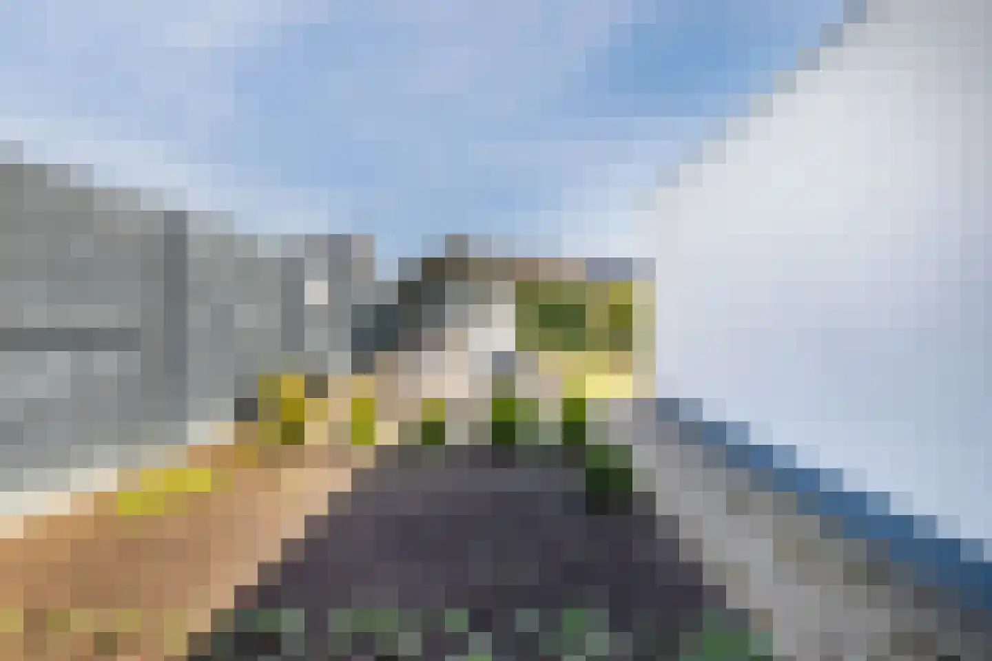 Hagenaarpark 19 Maasbracht thumbnail 50