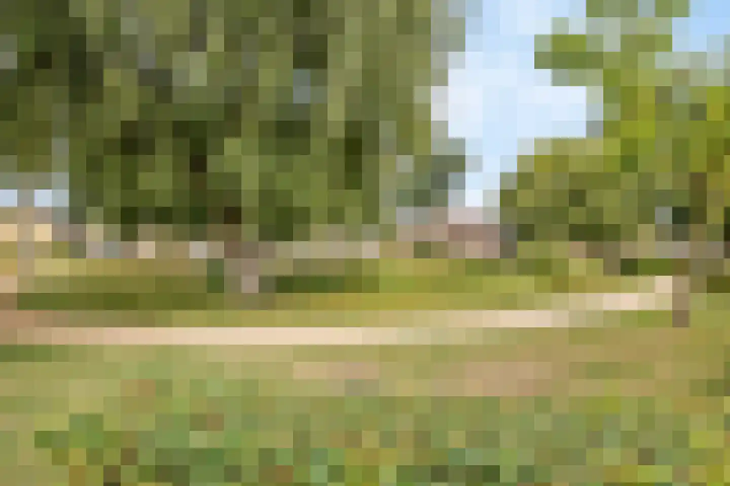 Hagenaarpark 38 Maasbracht thumbnail 40