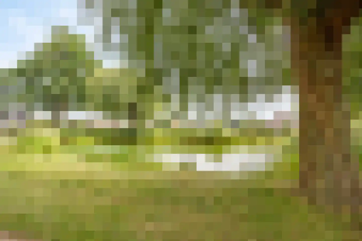 Hagenaarpark 38 Maasbracht thumbnail 41