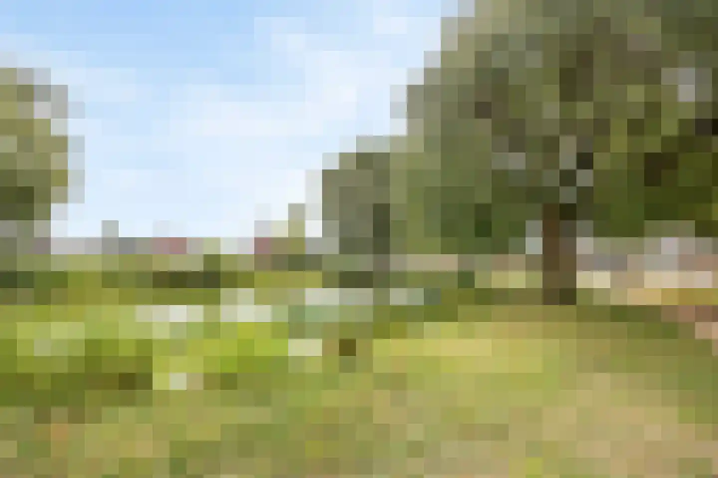 Hagenaarpark 38 Maasbracht thumbnail 42