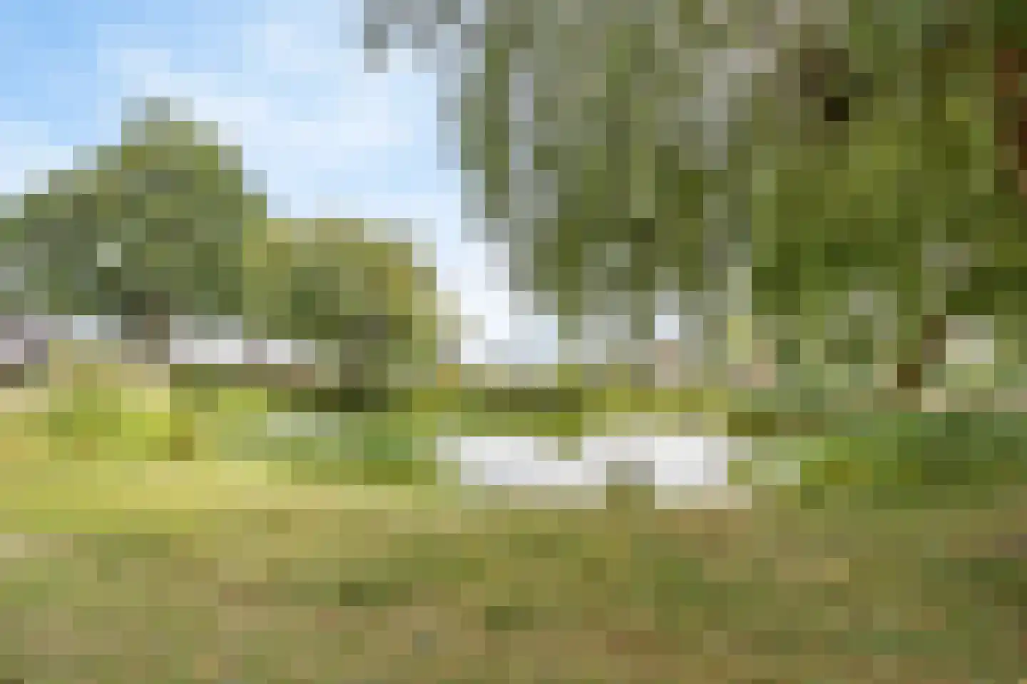 Hagenaarpark 38 Maasbracht thumbnail 43