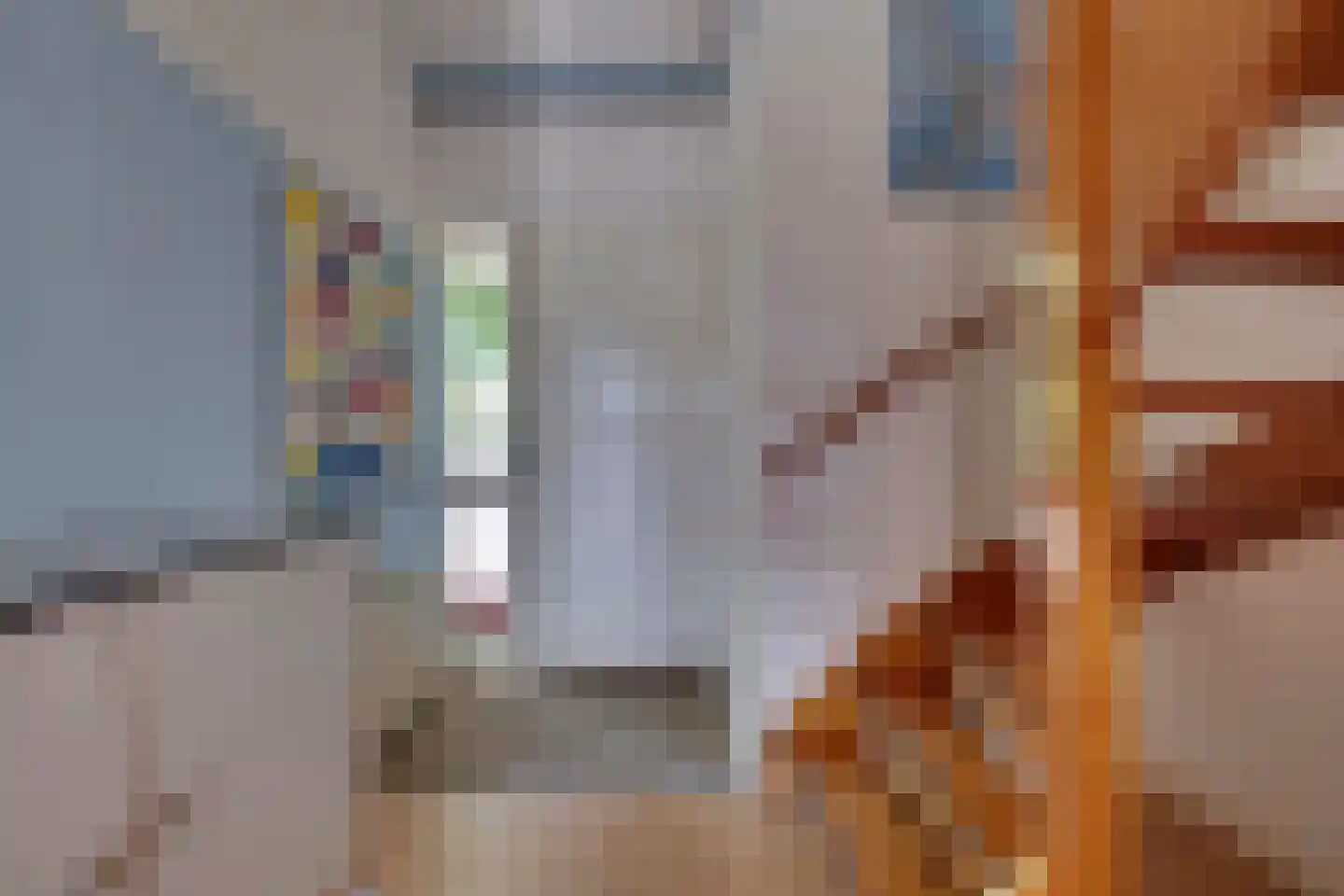 Hagenaarstraat 1 Tolkamer thumbnail 10