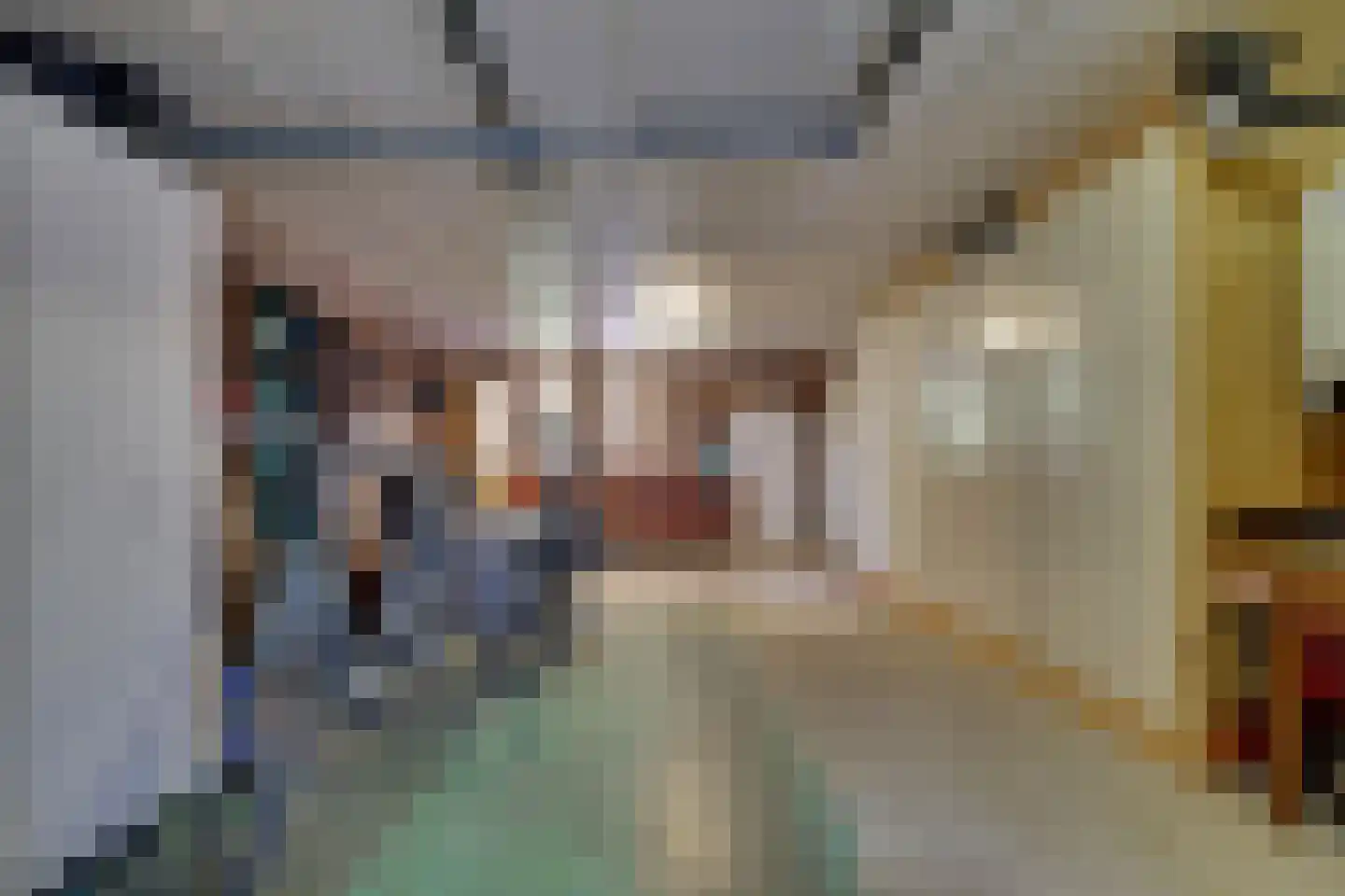 Hagenaarstraat 1 Tolkamer thumbnail 24