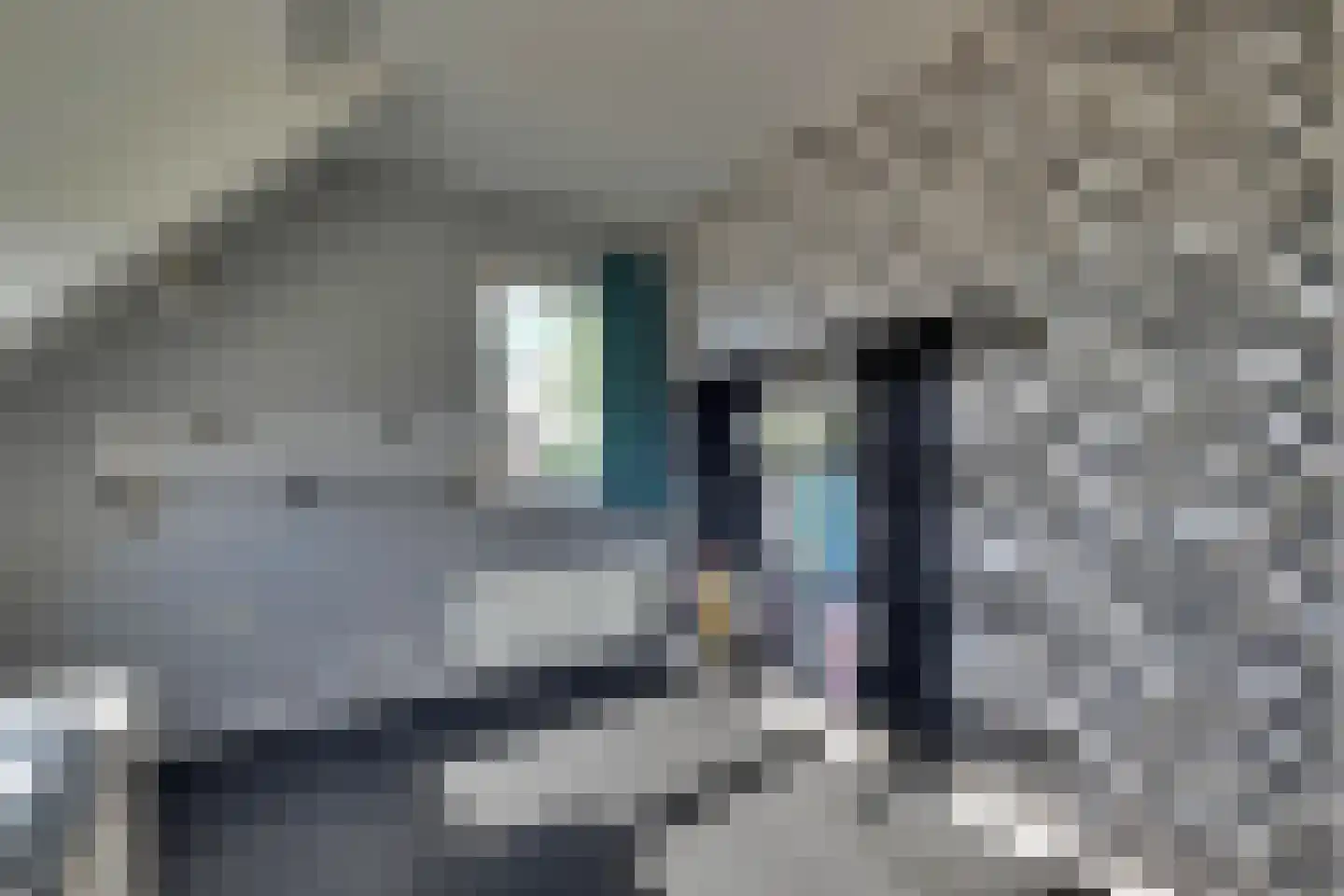 Hagenaarstraat 1 Tolkamer thumbnail 29
