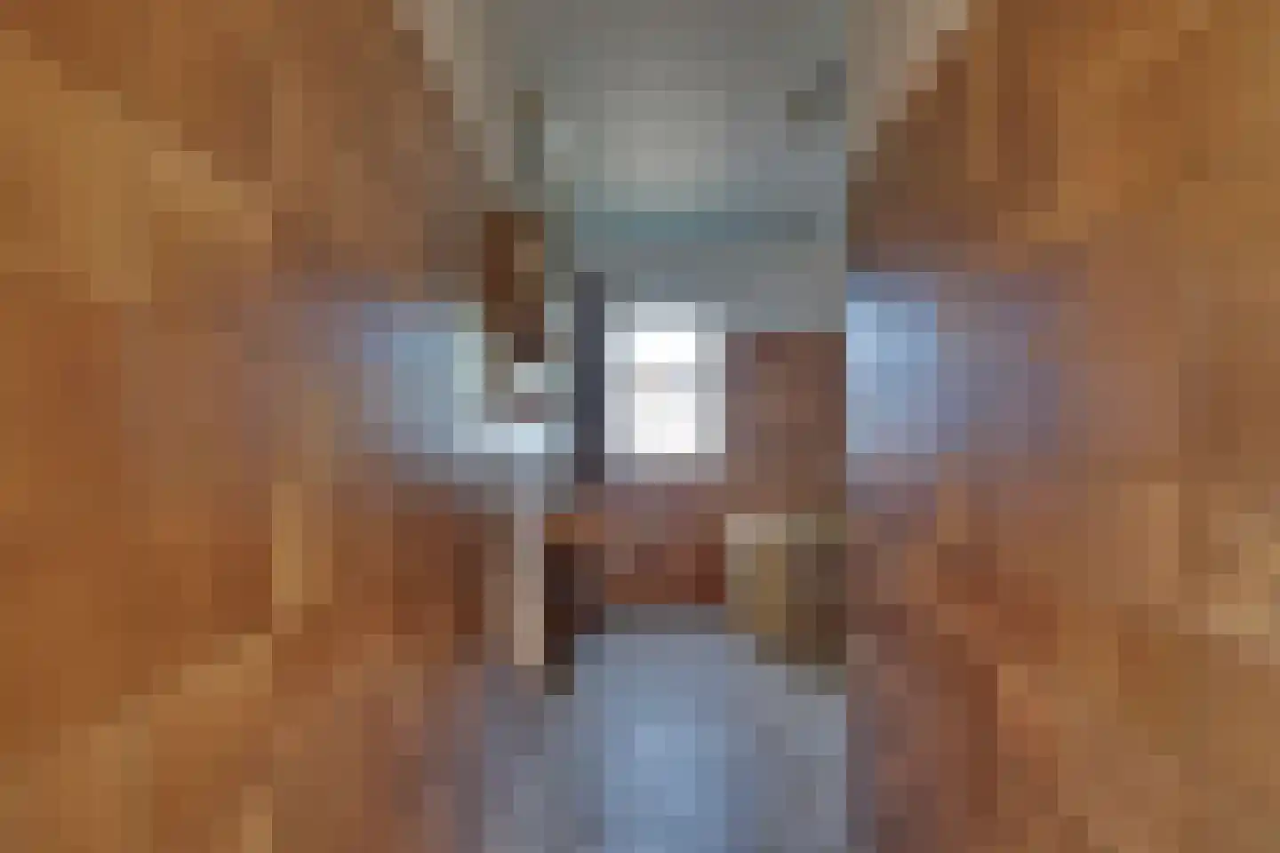 Hagenaarstraat 1 Tolkamer thumbnail 31