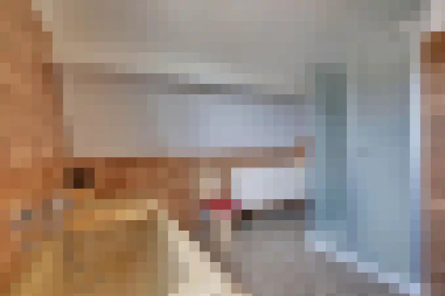 Hagenaarstraat 1 Tolkamer thumbnail 33