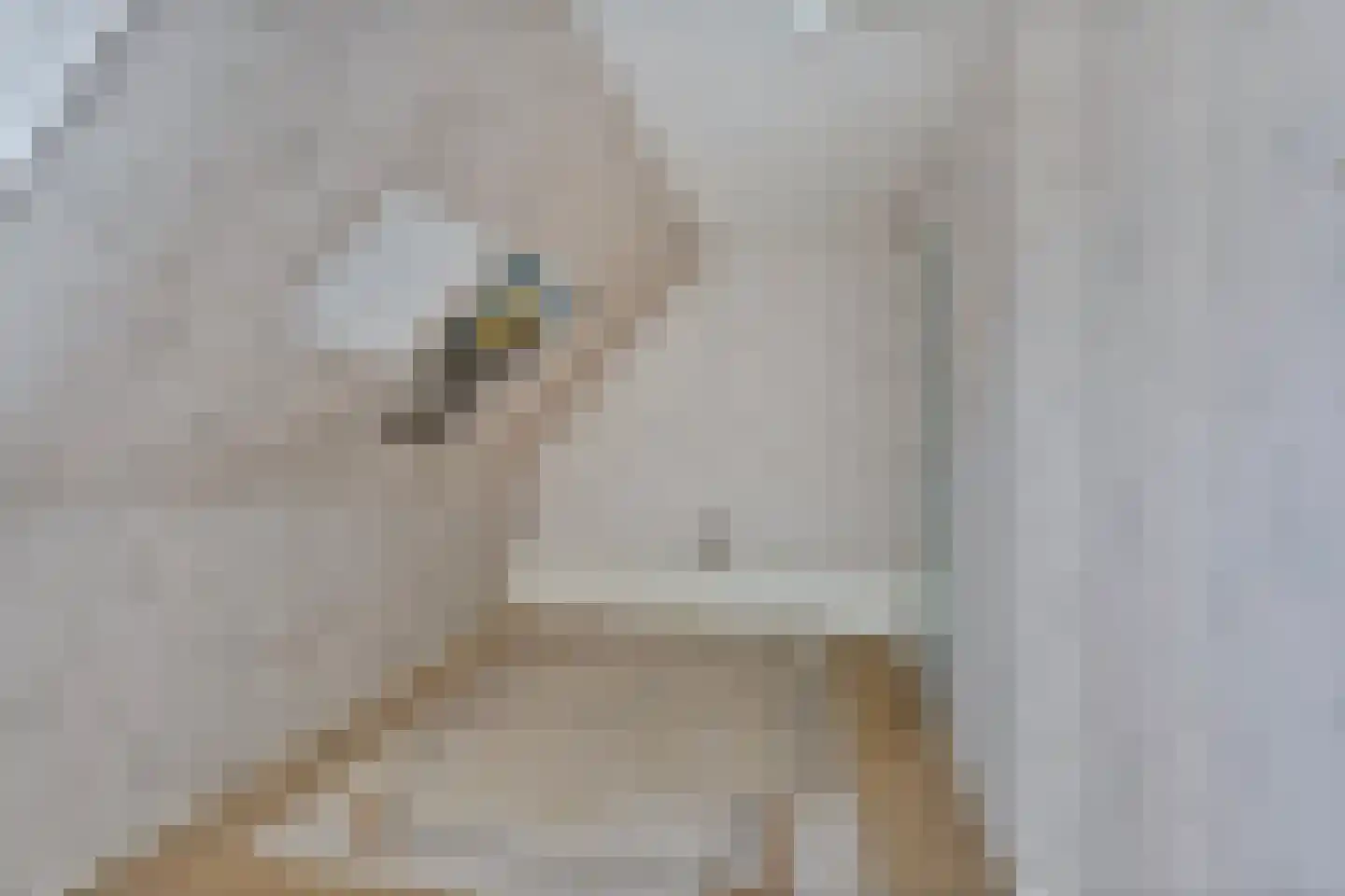 Hagenadyk 33 Oudega thumbnail 22
